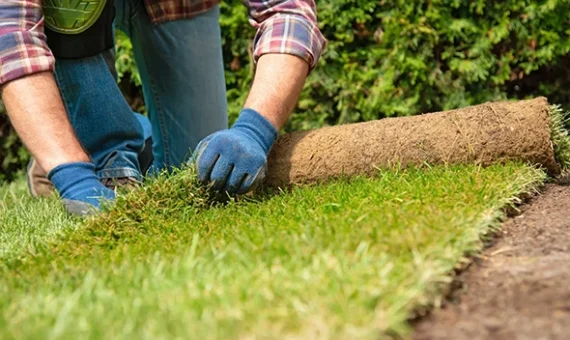 Why Choose Our Landscape Services