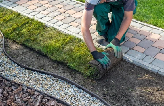 Professional Landscape Lighting Installation in Asbury Park, NJ